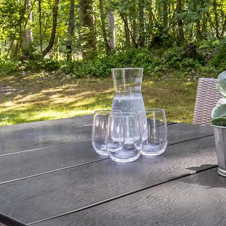 Rubinsoen Skovhuse 펜션